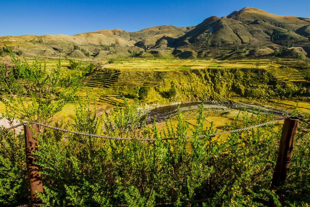 Eco Inn Colca Yanque Zewnętrze zdjęcie