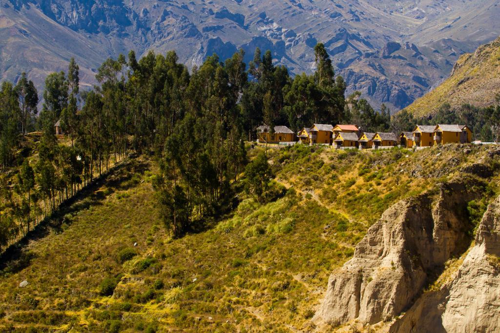 Eco Inn Colca Yanque Zewnętrze zdjęcie