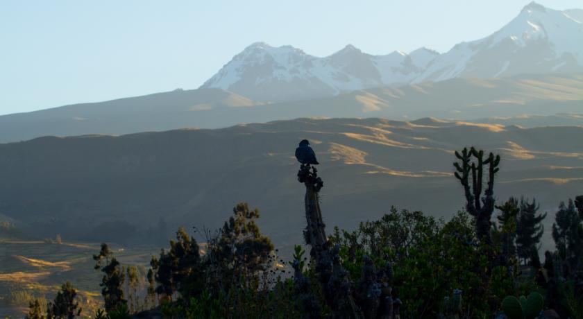 Eco Inn Colca Yanque Zewnętrze zdjęcie