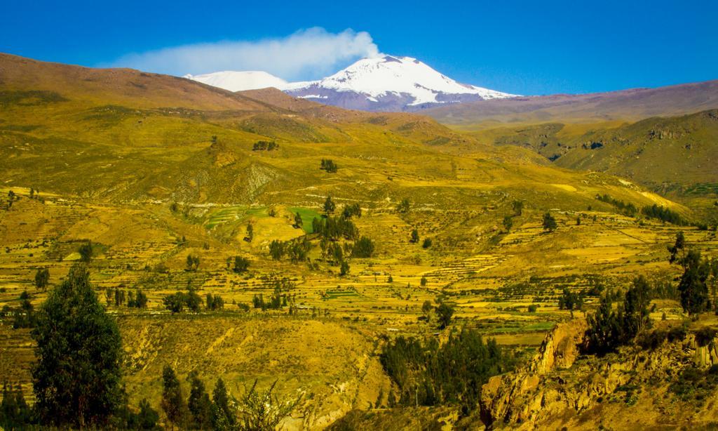 Eco Inn Colca Yanque Zewnętrze zdjęcie
