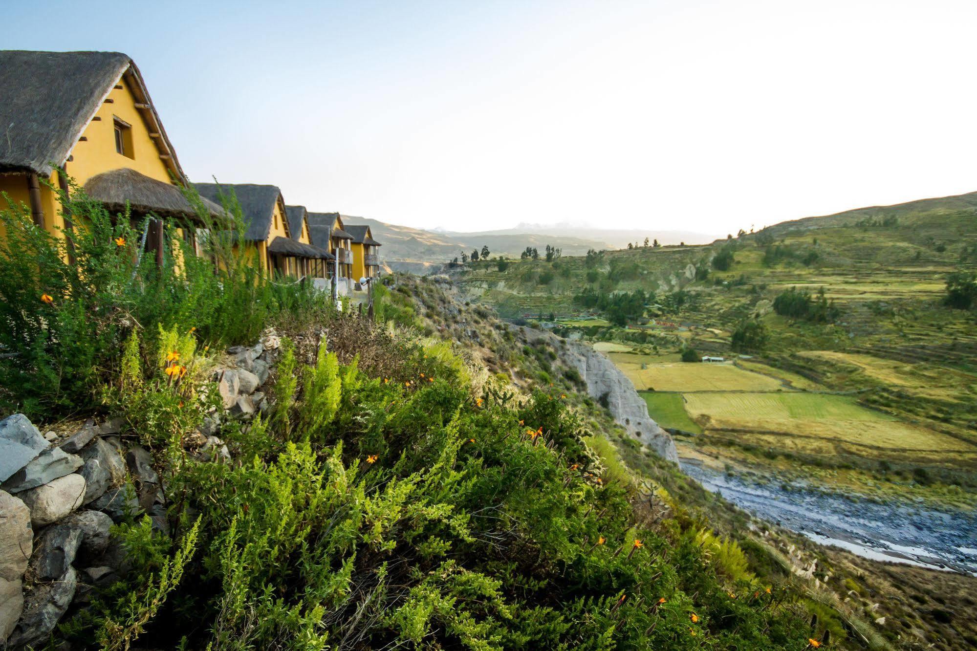 Eco Inn Colca Yanque Zewnętrze zdjęcie